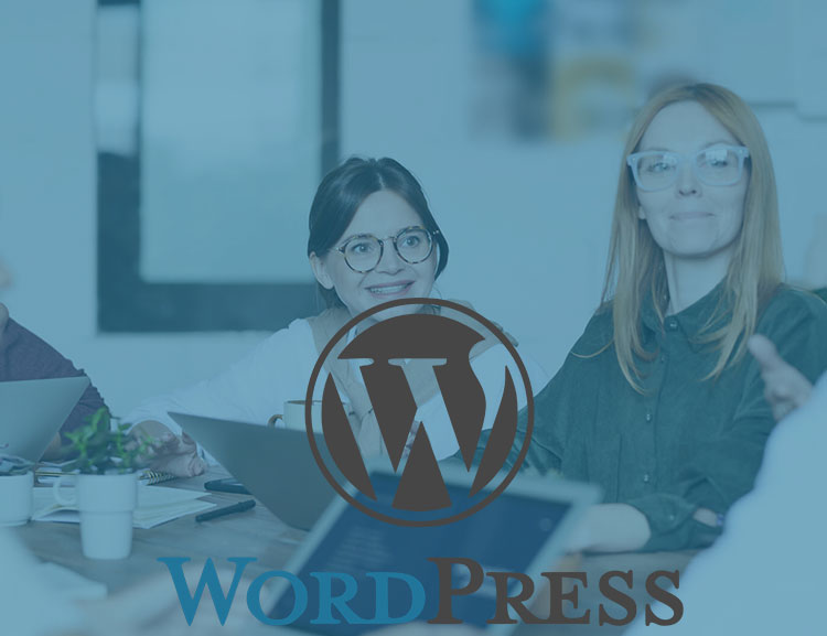 Khóa học develop plugins wordpress